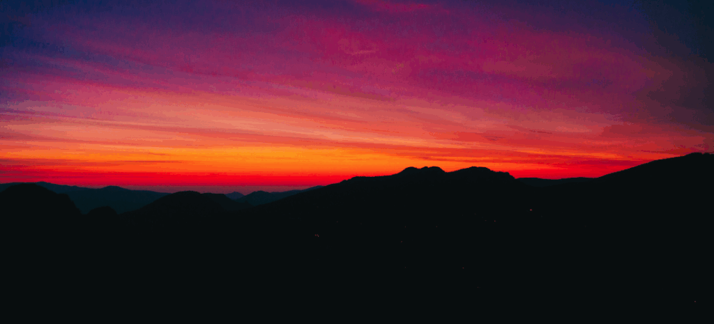 Blog 6